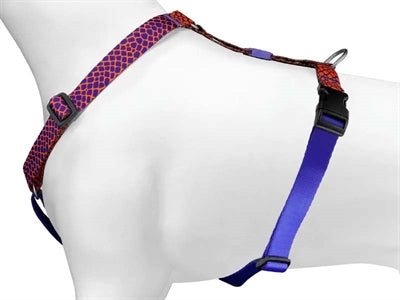 Morso Dog Harness H-Harness Recycled Urban Lizard Red