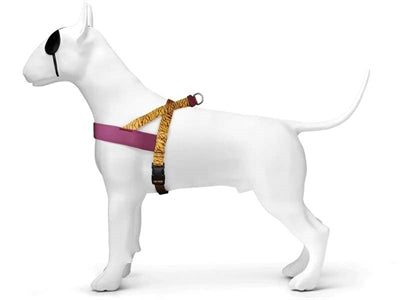 Morso Norwegian Dog Harness Recycled Jungle Drum Orange