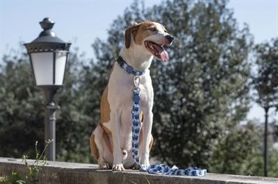 Morso Dog Collar Recycled Splash Blue