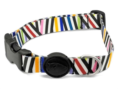 Morso Dog Collar Recycled Spaghetti Incident