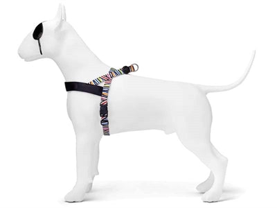 Morso Norwegian Dog Harness Recycled Spaghetti Incident