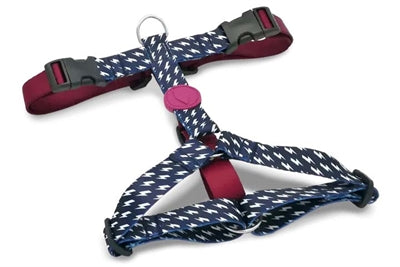 Morso Dog Harness H-Harness Recycled Power Flow Black