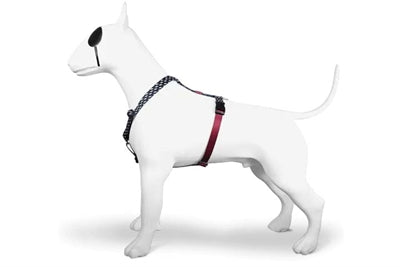 Morso Dog Harness H-Harness Recycled Power Flow Black