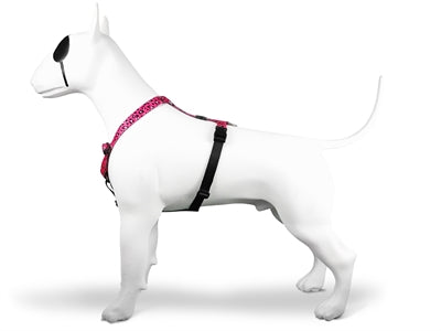 Morso Dog Harness H-Harness Recycled Bubble Leo Pink