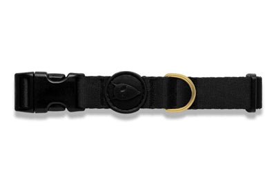 Morso Dog Collar Recycled Gold Caviar Gold