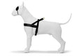 Morso Norwegian Dog Harness Recycled Gold Caviar Gold