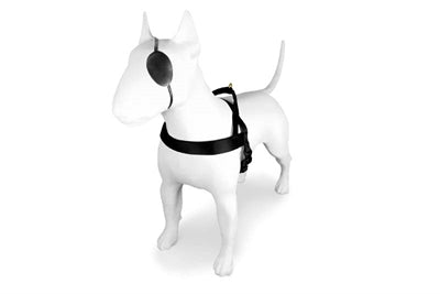Morso Norwegian Dog Harness Recycled Gold Caviar Gold