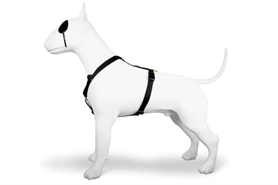 Morso Dog Harness H-Harness Recycled Gold Caviar Gold