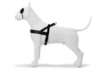 Morso Norwegian Dog Harness Recycled Pureness Black