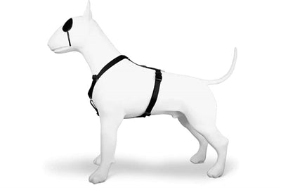 Morso Dog Harness H-Harness Recycled Pureness Black