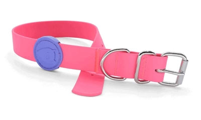 Morso Dog Collar Waterproof Recycled Passion Pink Roze