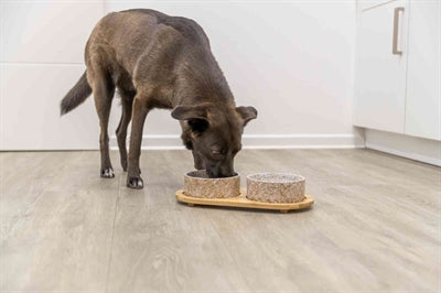 Trixie Food Bowl / Water Bowl Set Ceramic / Bamboo White / Natural
