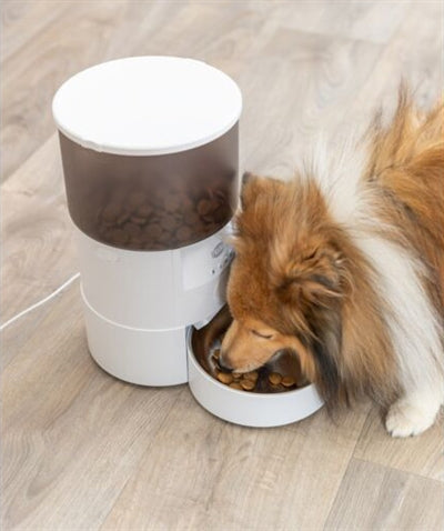 Trixie Automatic Feeder Tx-C Smart White 18X18X31 Cm 3 Ltr