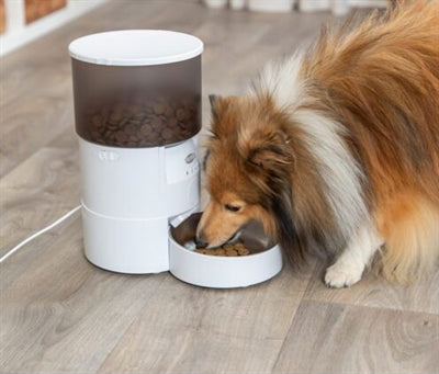 Trixie Automatic Feeder Tx-C Smart White 18X18X31 Cm 3 Ltr