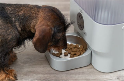 Trixie Automatic Feeder Tx-C Smart Light Grey 28X17X30 Cm 5 Ltr