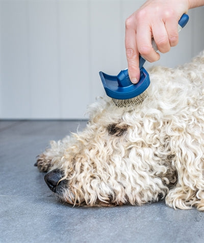 Mikki Doodle Slicker Brush
