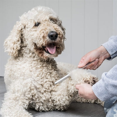 Mikki Doodle Grooming Kit With Comb And Slicker Brush
