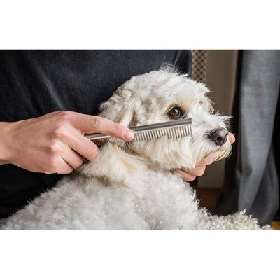 Mikki Doodle Grooming Kit With Comb And Slicker Brush