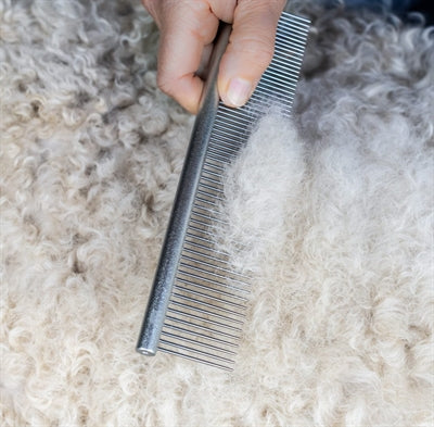 Mikki Doodle Grooming Kit With Comb And Slicker Brush