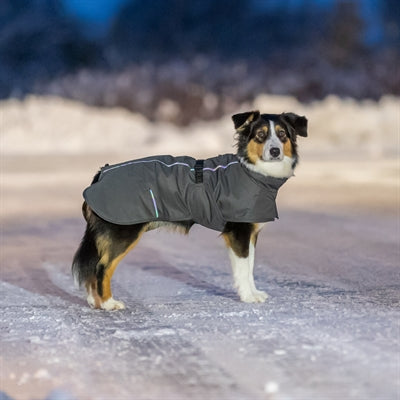 Trixie Dog Coat Limoux Stone Grey