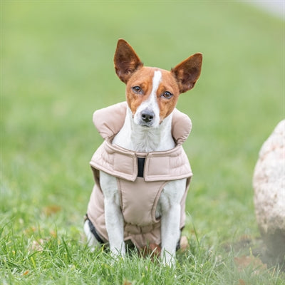 Trixie Dog Coat Lesmont Blush