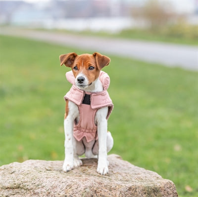 Trixie Dog Coat Lesmont Apricot