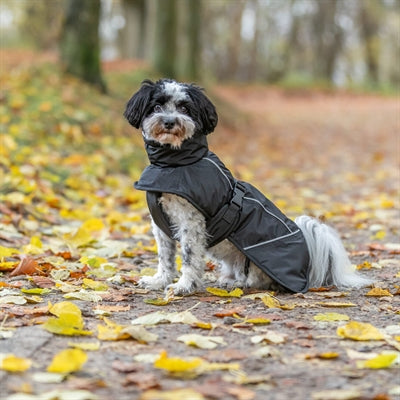 Trixie Dog Coat Winter Brizon Black