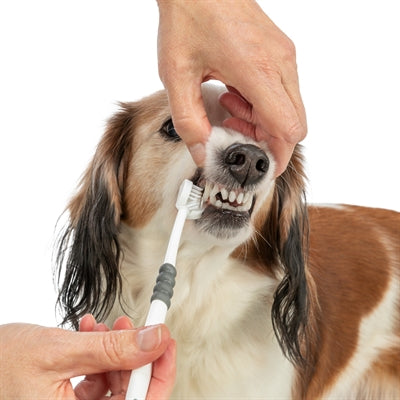 Trixie 3-Headed Toothbrush Dog / Cat White / Grey 18 Cm