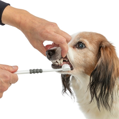 Trixie 3-Headed Toothbrush Dog / Cat White / Grey 18 Cm