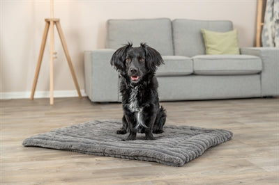 Trixie Lounging Mat Lonni Corduroy Grey