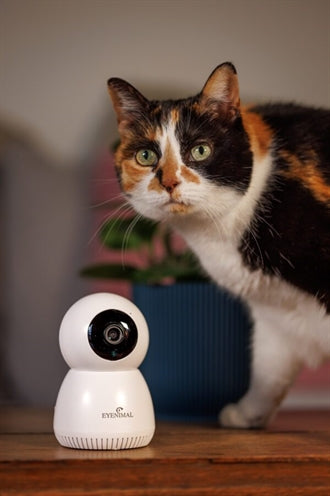Numaxes Eyenimal Pet Vision Live Hd Camera Without Sound Detection