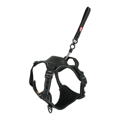 Zolux Easyride Dog Harness Black