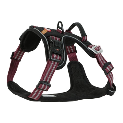Zolux Bvk Dog Harness Red