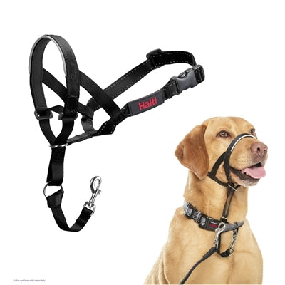 The Company Of Animals Company Of Animals Halti Headcollar Black