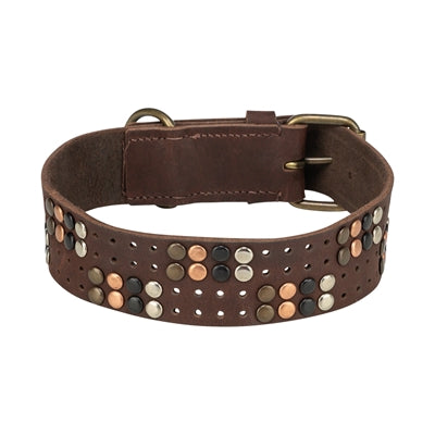 Trixie Dog Collar Rivet Rustic Oiled Leather Dark Brown