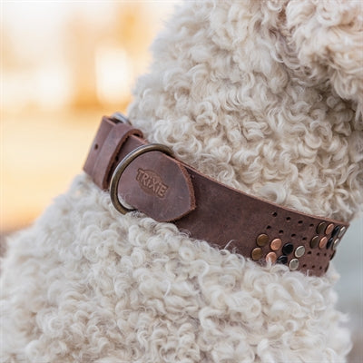 Trixie Dog Collar Rivet Rustic Oiled Leather Dark Brown