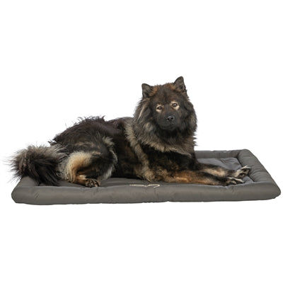 Trixie Dog Blanket Travel Blanket Samoa Olive Green