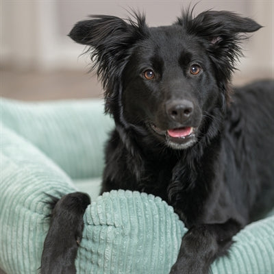 Trixie Dog Bed Jonna Vital Corduroy Sage Green