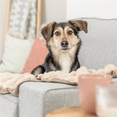 Trixie Dog Blanket Elli Sand