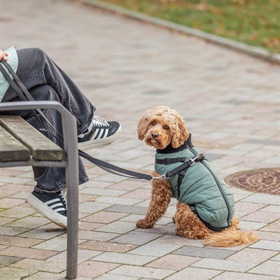 Trixie Dog Coat Pontis With Harness Sage Green