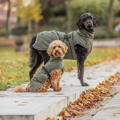 Trixie Dog Coat Minot Olive Green