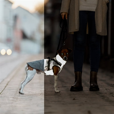 Trixie Dog Coat Pontis With Harness Reflect Grey