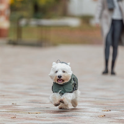 Trixie Dog Coat Winter Explore Thermo Olive Green