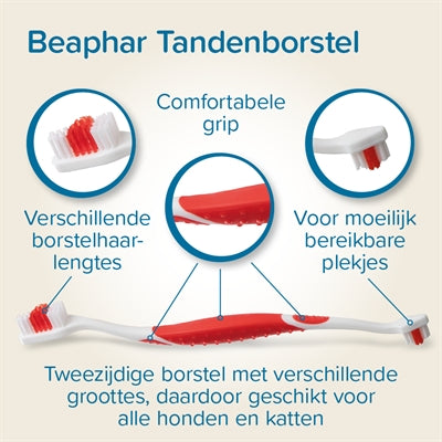 Beaphar Toothpaste And Brush Combo Pack