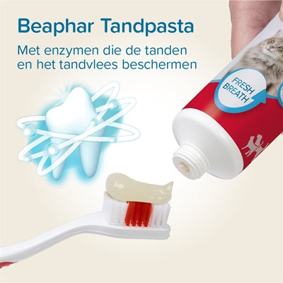 Beaphar Toothpaste And Brush Combo Pack