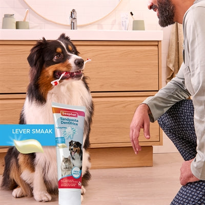 Beaphar Toothpaste And Brush Combo Pack