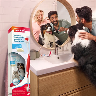Beaphar Toothpaste And Brush Combo Pack