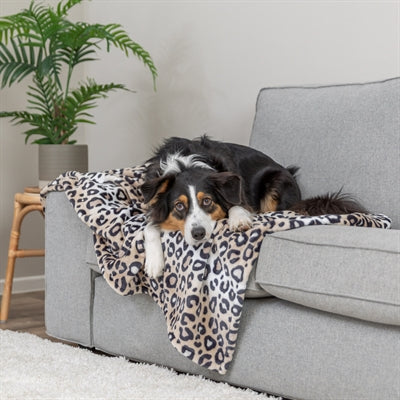 Trixie Dog Blanket Leo Soft Plush Leopard Print Cream