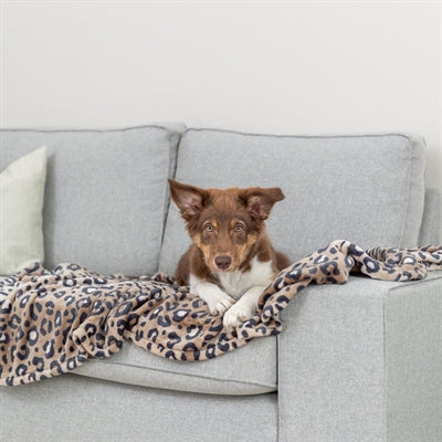 Trixie Dog Blanket Leo Soft Plush Panther Print Brown