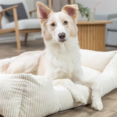 Trixie Vital Dog Bed Jonna Corner Ribbed Velvet Cream